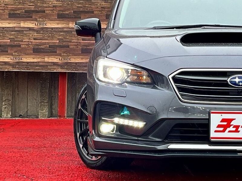 LEVORG