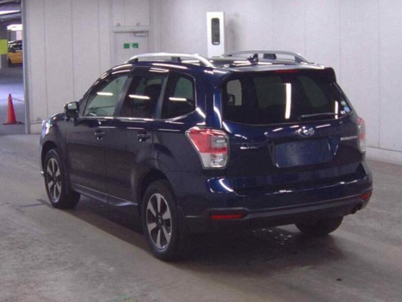FORESTER