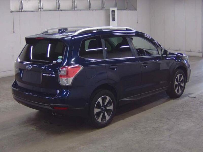 FORESTER