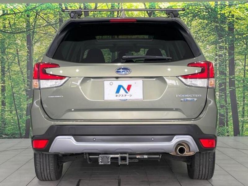 FORESTER