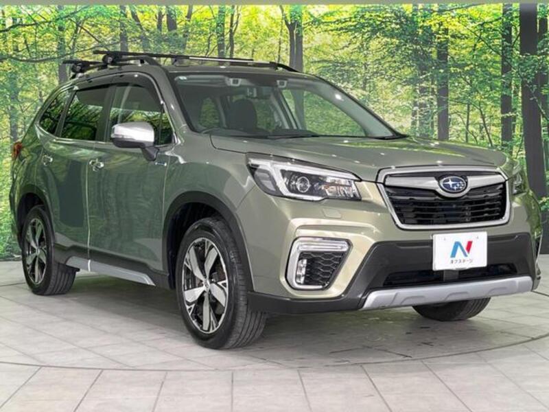 FORESTER