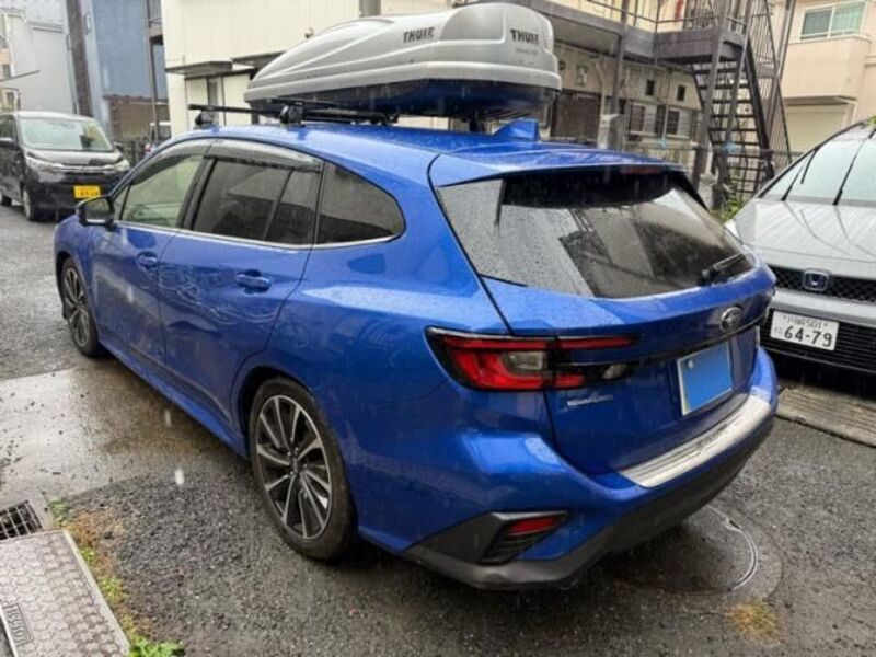 LEVORG