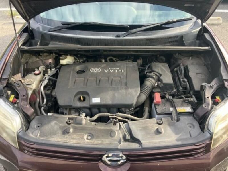 COROLLA RUMION