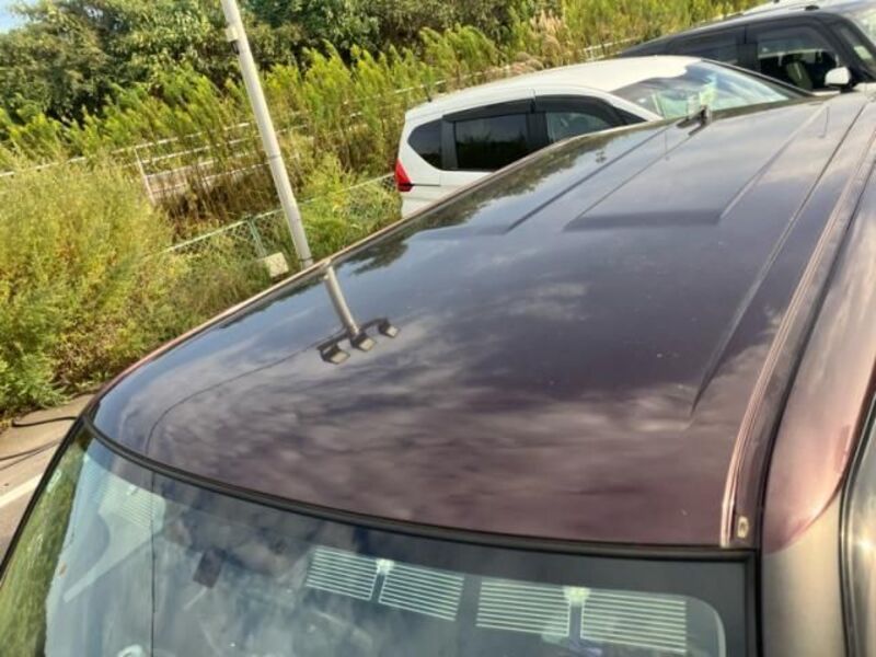 COROLLA RUMION