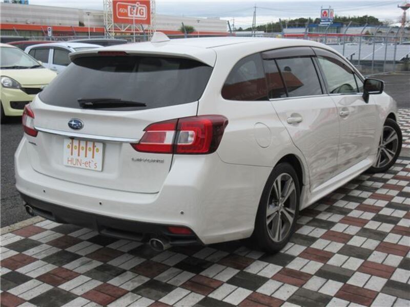 LEVORG