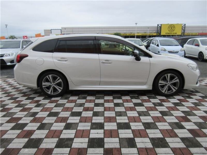 LEVORG