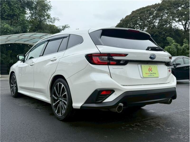 LEVORG