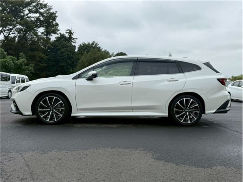 LEVORG