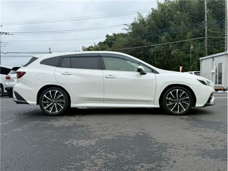 LEVORG
