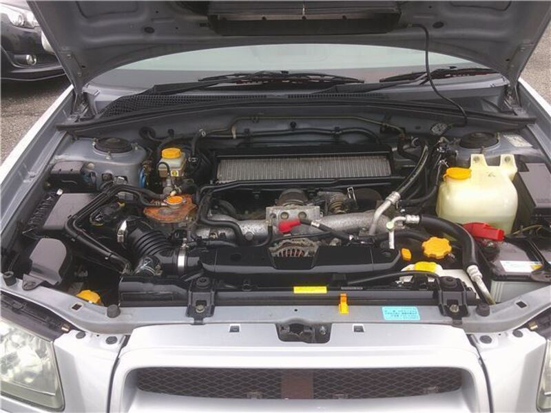 FORESTER