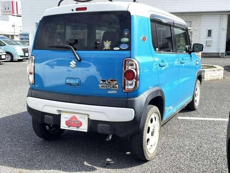 HUSTLER