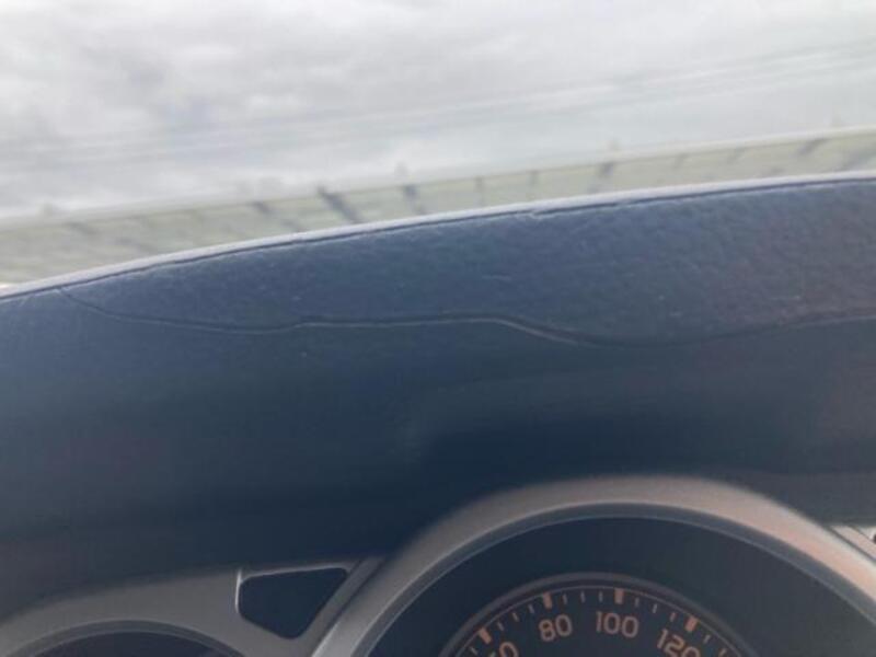 HILUX SURF