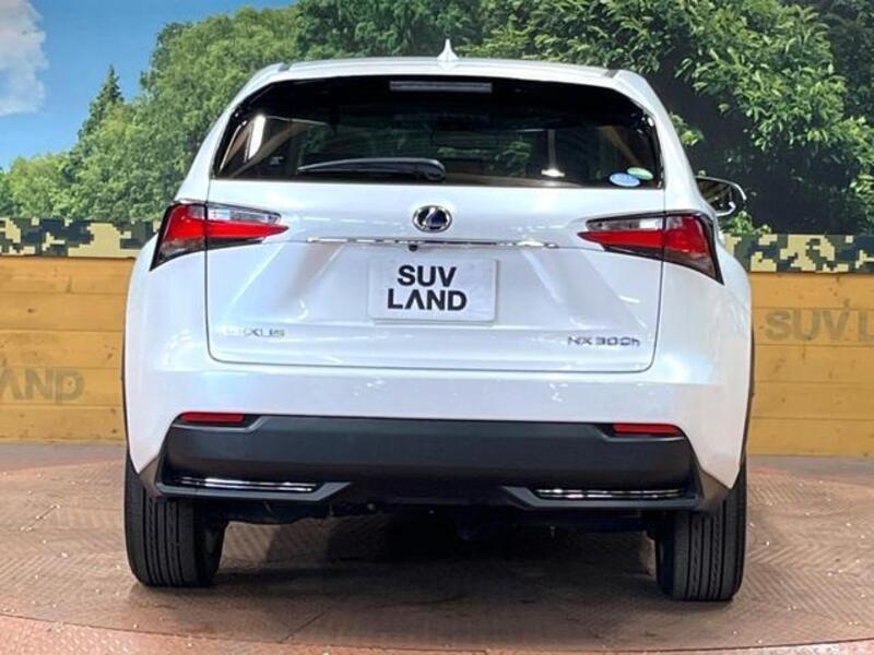 NX