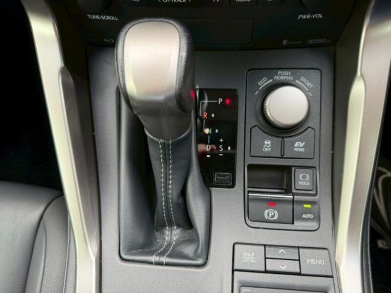 NX