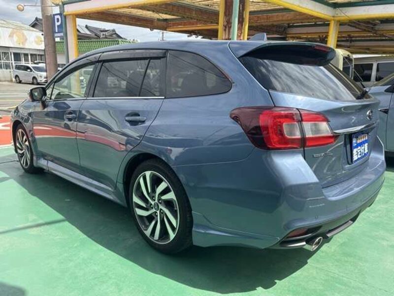 LEVORG
