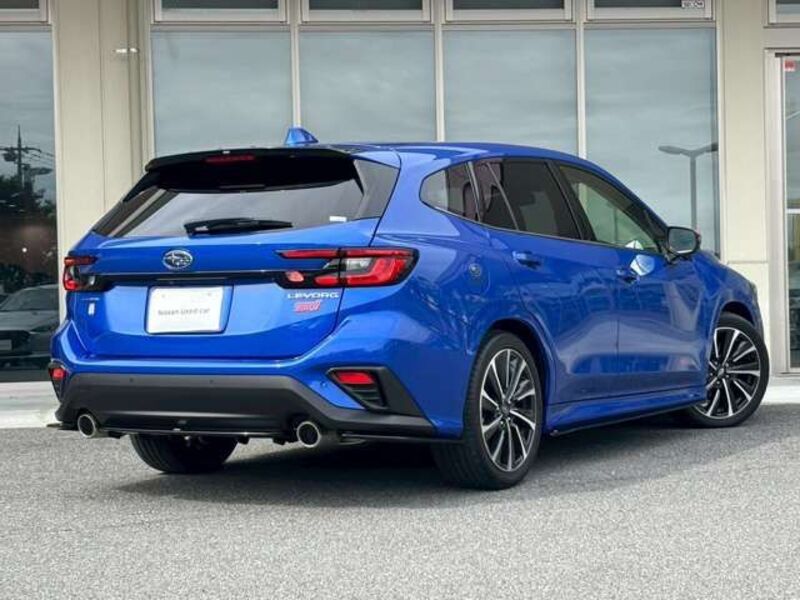LEVORG