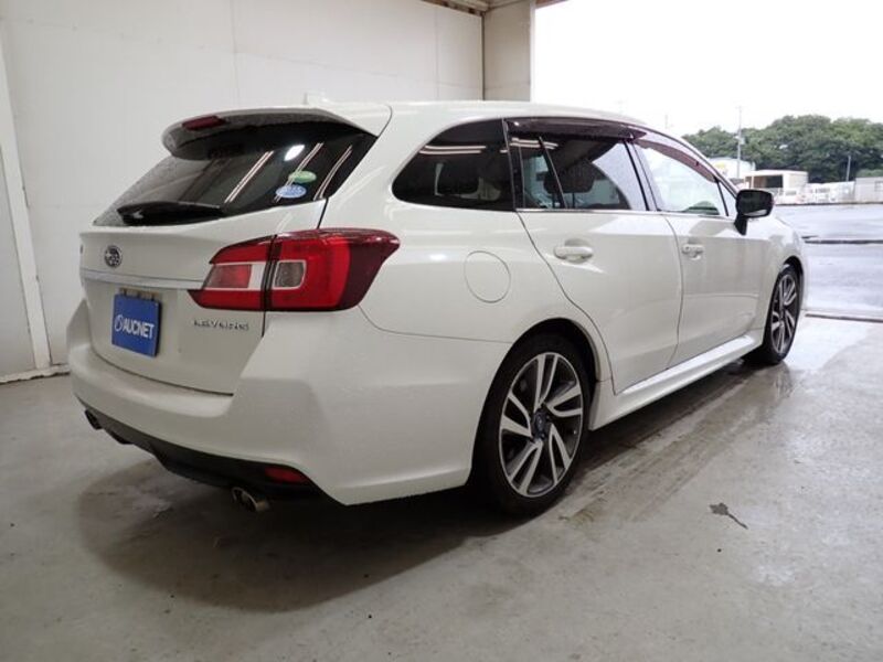 LEVORG