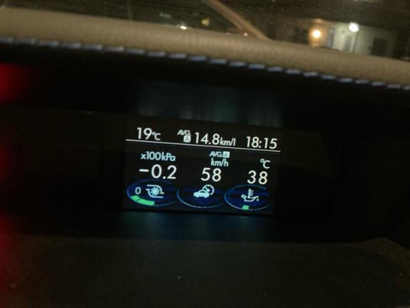 LEVORG