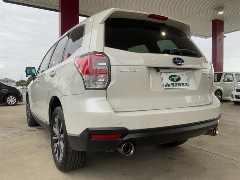 FORESTER