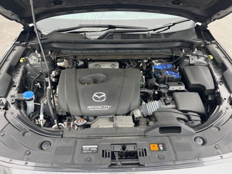 CX-8