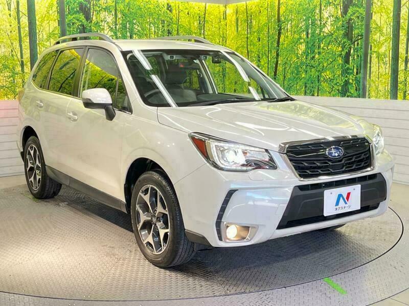 FORESTER-40