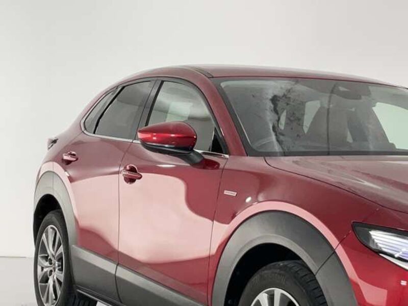 CX-30