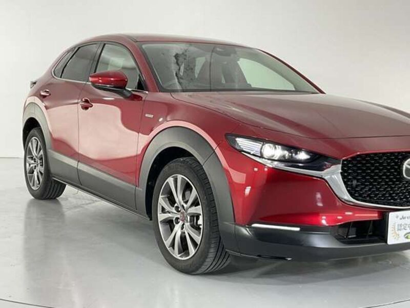 CX-30