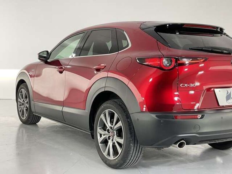 CX-30