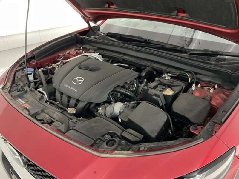CX-30