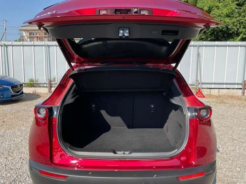 CX-30