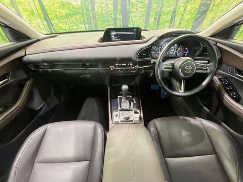 CX-30