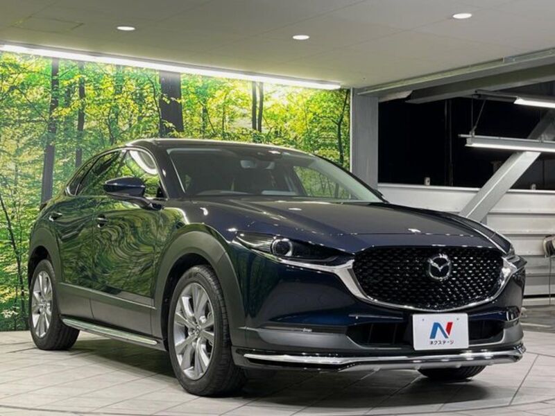 CX-30