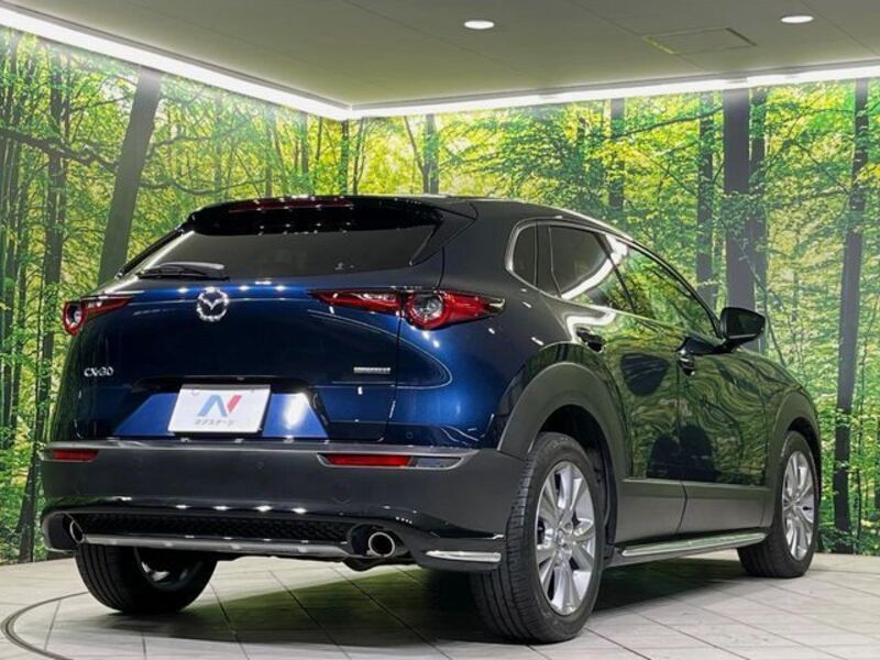 CX-30