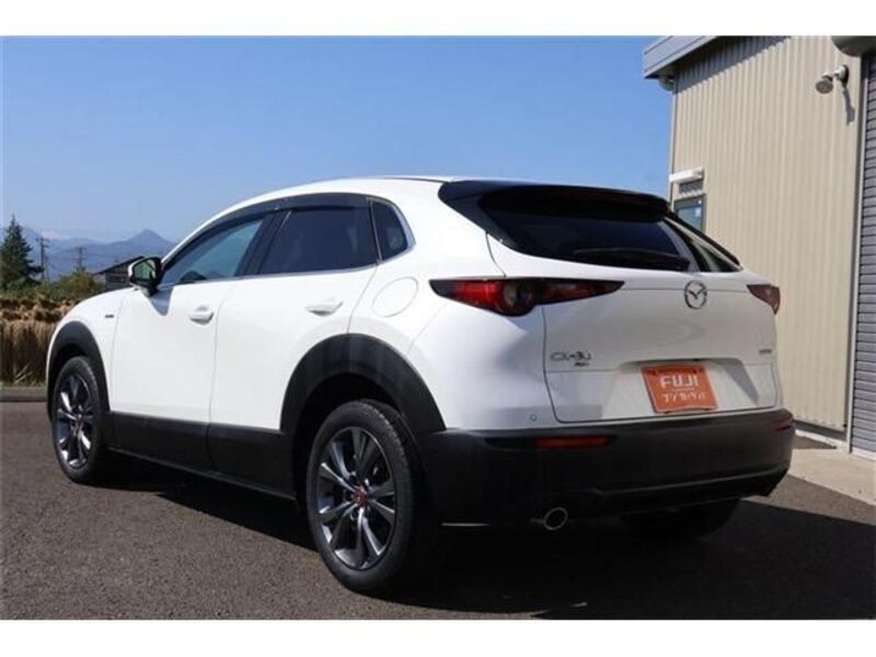 CX-30