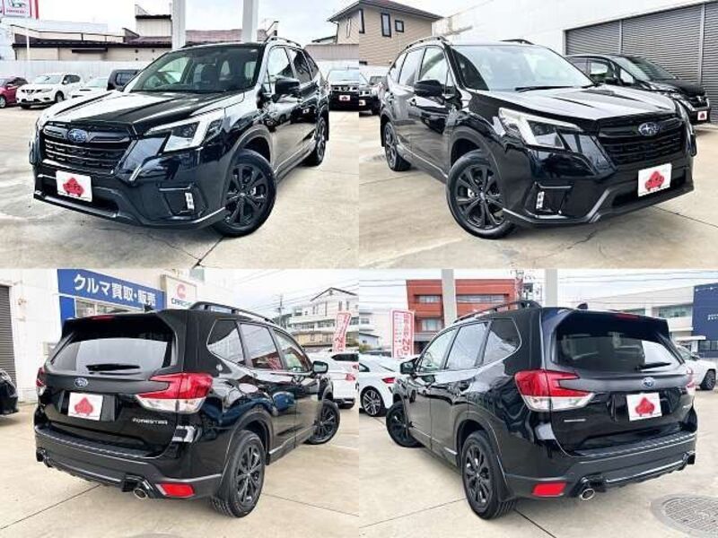 FORESTER