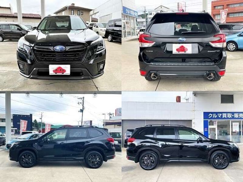 FORESTER