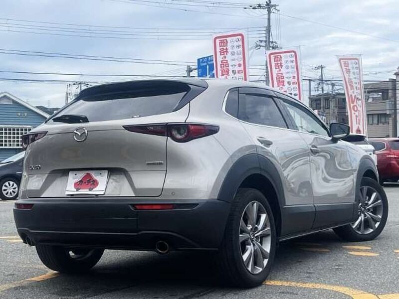 CX-30