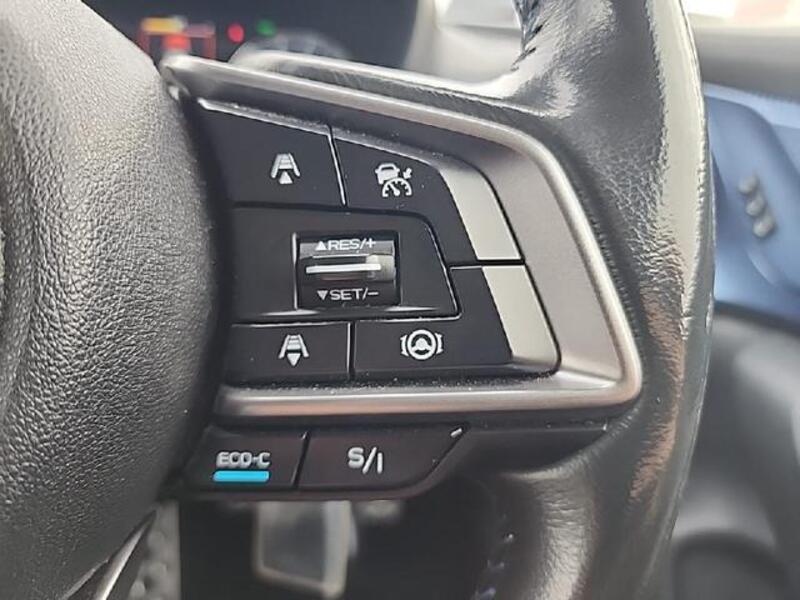 XV