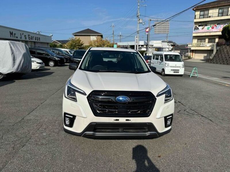 FORESTER
