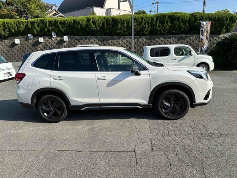 FORESTER