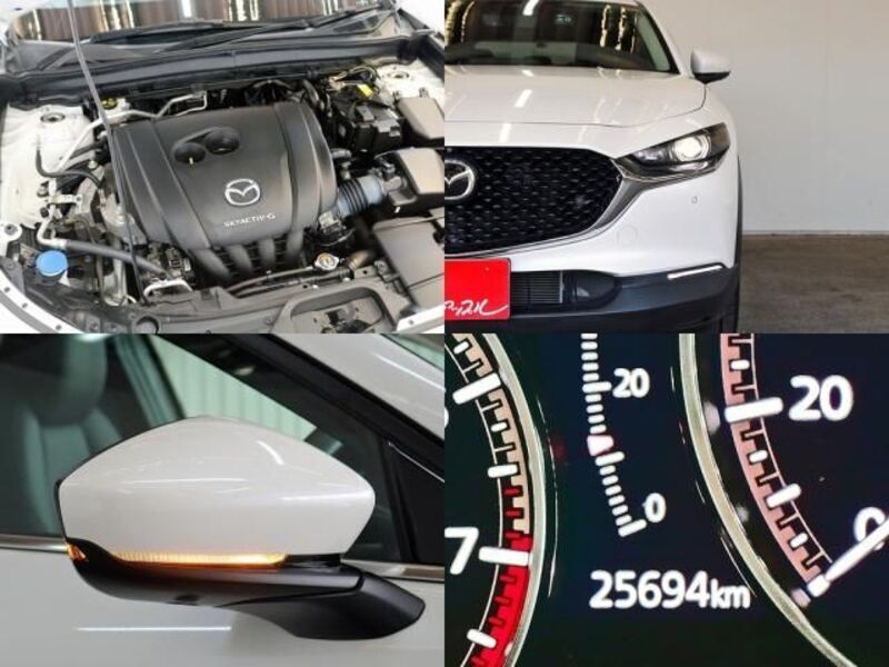 CX-30