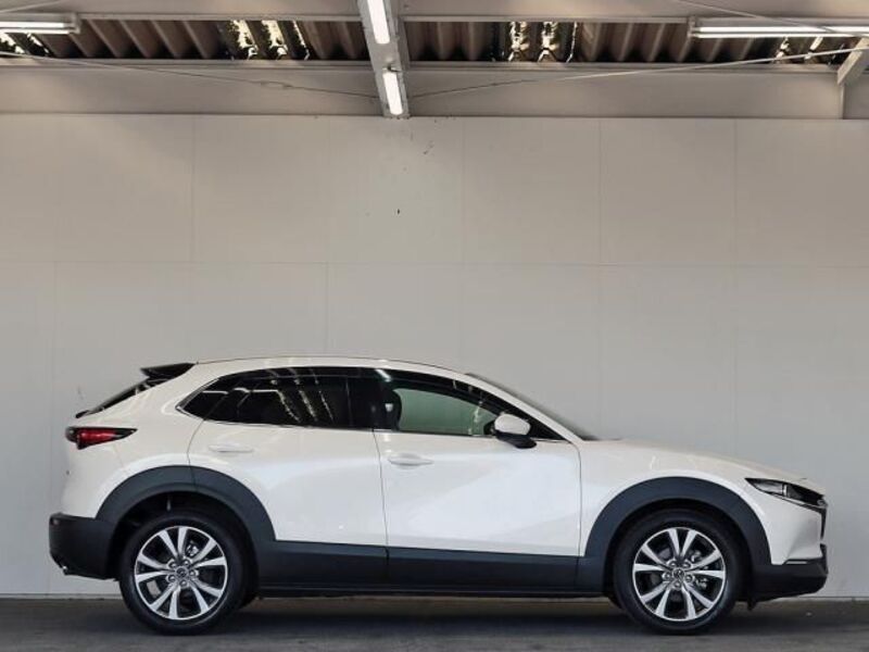 CX-30