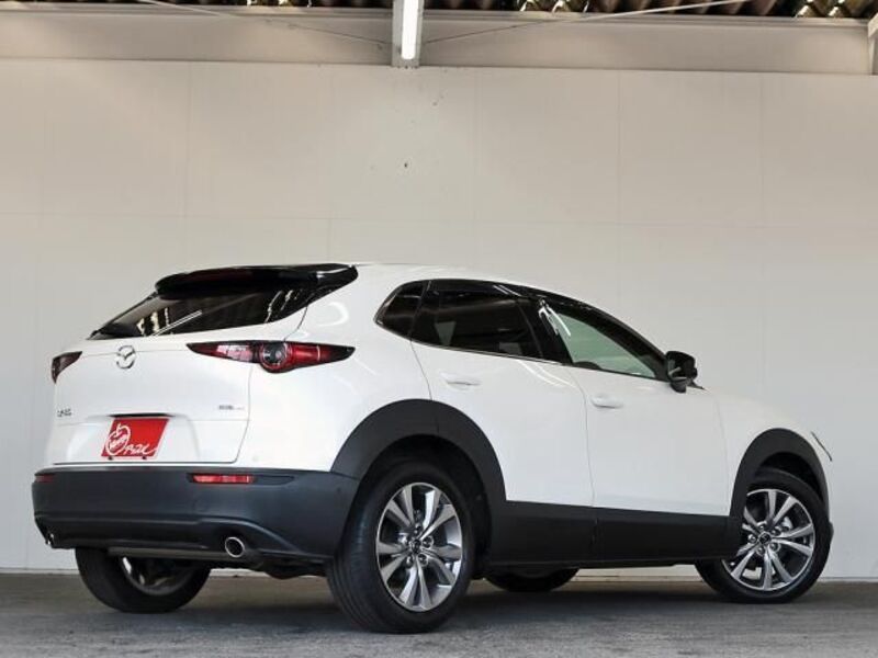 CX-30