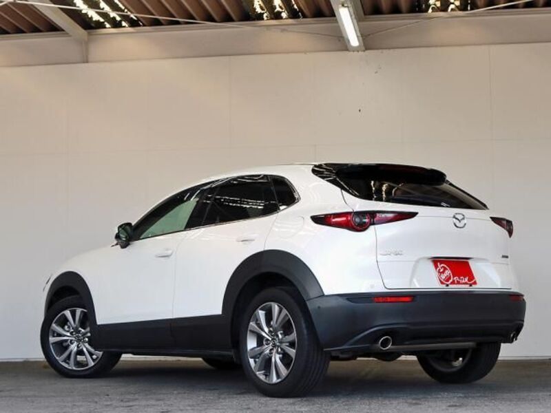 CX-30