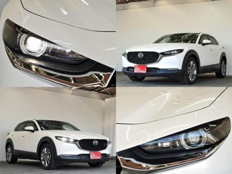 CX-30