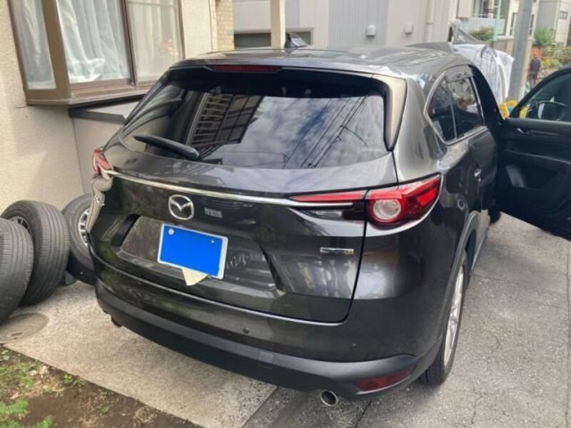 CX-8