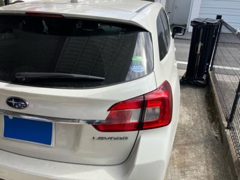 LEVORG