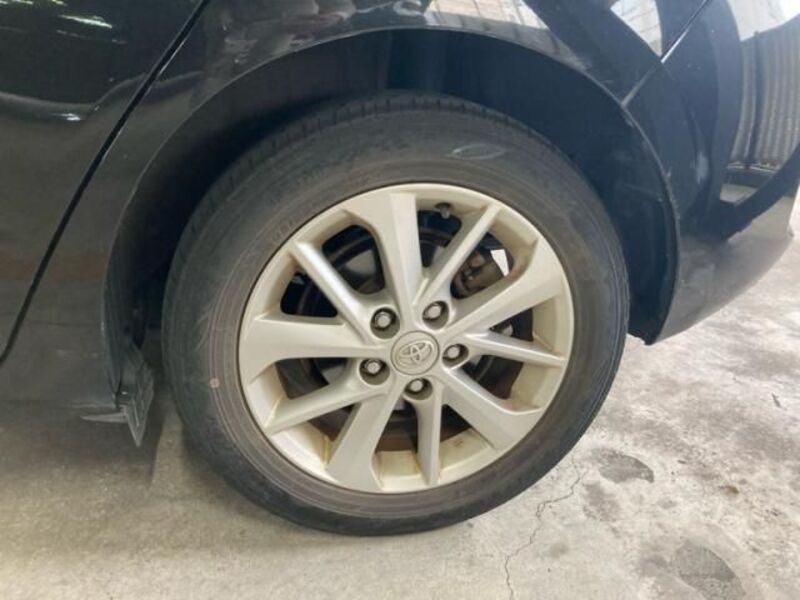 AURIS