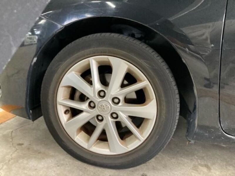 AURIS