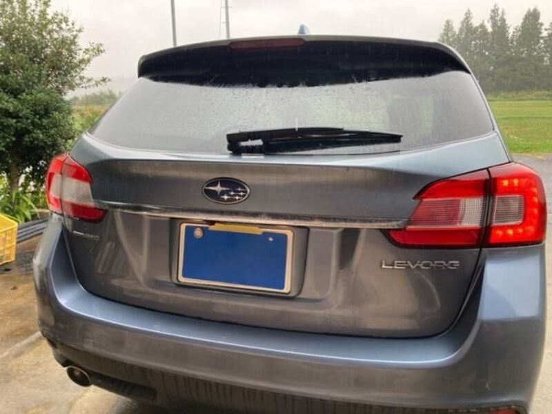 LEVORG